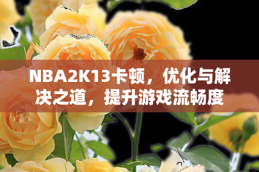NBA2K13卡顿,优化与解决之道,提升游戏流畅度 NBA2K13卡顿,优化与解决之道,提升游戏流畅度