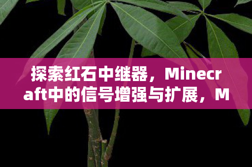 Minecraft中的信号增强与扩展图片