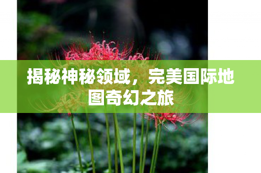 完美国际地图奇幻之旅图片