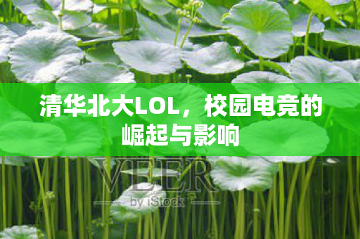 校园电竞的崛起与影响图片