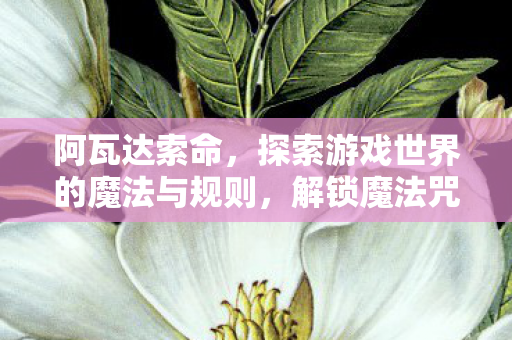 探索游戏世界的魔法与规则图片