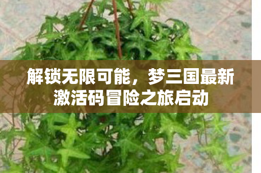 梦三国最新激活码冒险之旅启动图片