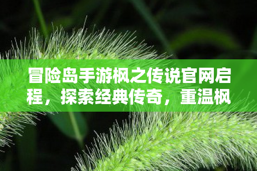 冒险岛手游枫之传说官网启程图片