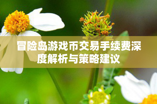 冒险岛游戏币交易手续费深度解析与策略建议图片
