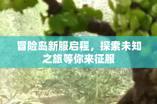 探索未知之旅等你来征服图片