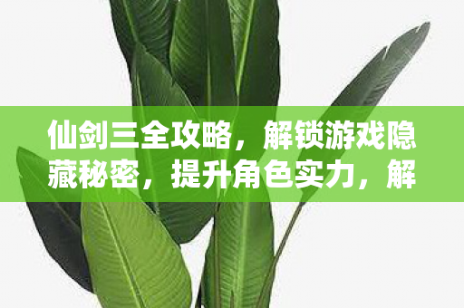 解锁仙剑三隐藏秘密图片