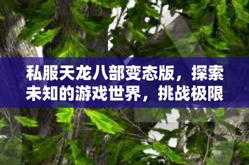 私服天龙八部变态版,探索未知的游戏世界,挑战极限,畅享无限乐趣! 私服天龙八部变态版,探索未知的游戏世界,挑战极限,畅享无限乐趣!