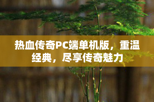 热血传奇PC端单机版图片