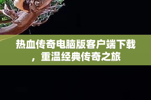 热血传奇电脑版客户端下载图片