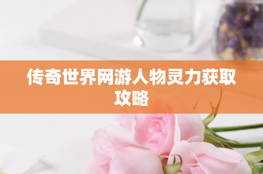 传奇世界网游人物灵力获取攻略图片
