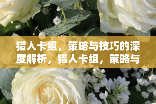 策略与技巧的深度解析图片