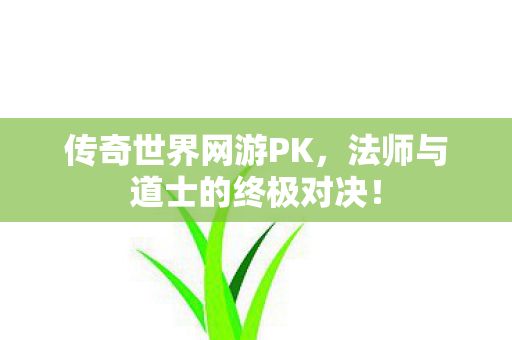 法师与道士的终极对决图片
