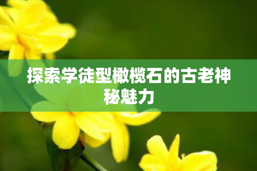 探索学徒型橄榄石的古老神秘魅力图片