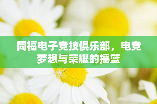 电竞梦想与荣耀的摇篮图片