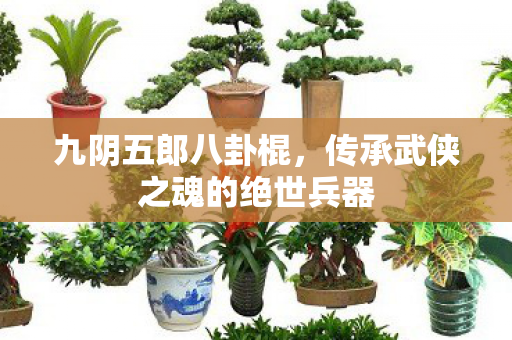 传承武侠之魂的绝世兵器图片