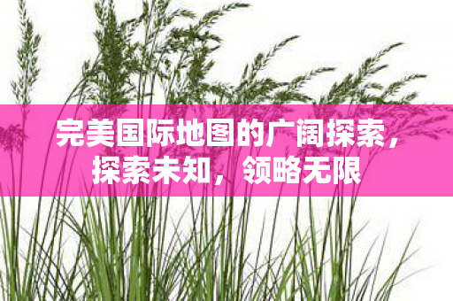 完美国际地图的广阔探索图片