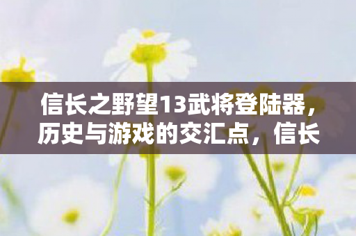 信长之野望13武将登陆器图片