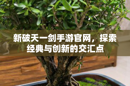探索经典与创新的交汇点图片