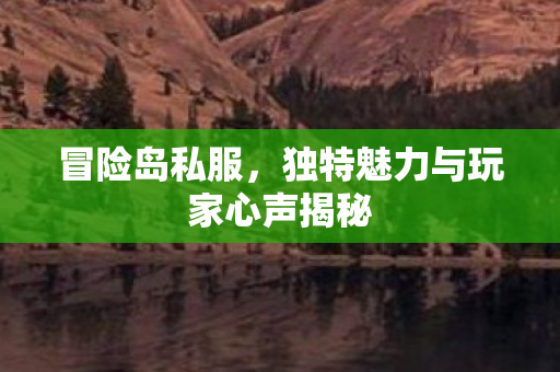 独特魅力与玩家心声揭秘图片