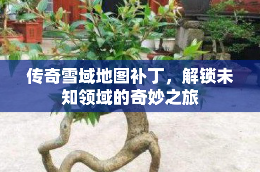 解锁未知领域的奇妙之旅图片