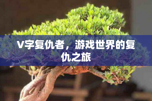 游戏世界的复仇之旅图片