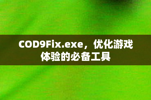 COD9Fix.exe,优化游戏体验的必备工具 COD9Fix.exe,优化游戏体验的必备工具