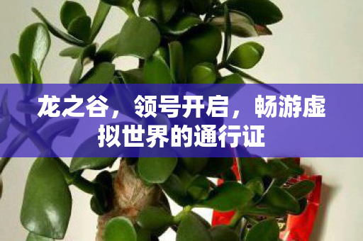 龙之谷,领号开启,畅游虚拟世界的通行证 龙之谷,领号开启,畅游虚拟世界的通行证