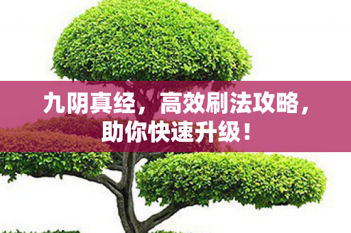 九阴真经,高效刷法攻略,助你快速升级! 九阴真经,高效刷法攻略,助你快速升级!