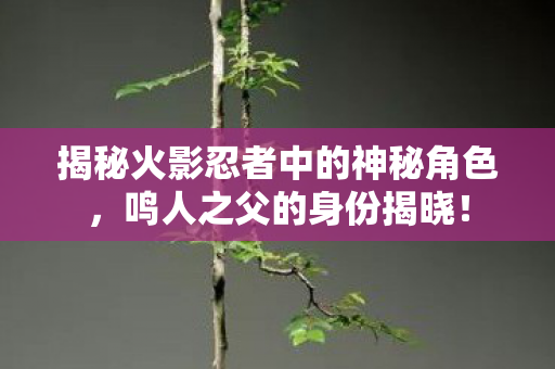 揭秘火影忍者中的神秘角色,鸣人之父的身份揭晓! 揭秘火影忍者中的神秘角色,鸣人之父的身份揭晓!