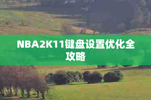 NBA2K11键盘设置优化全攻略图片
