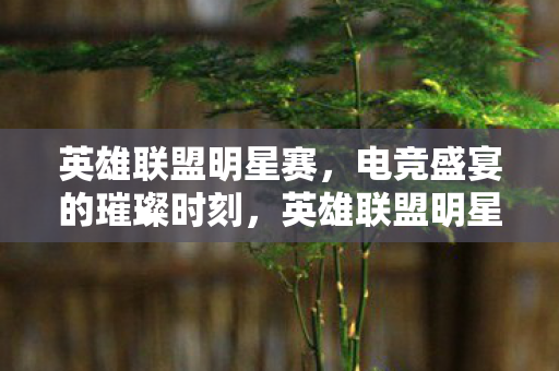 电竞盛宴的璀璨时刻图片