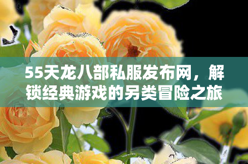 解锁经典游戏的另类冒险之旅图片