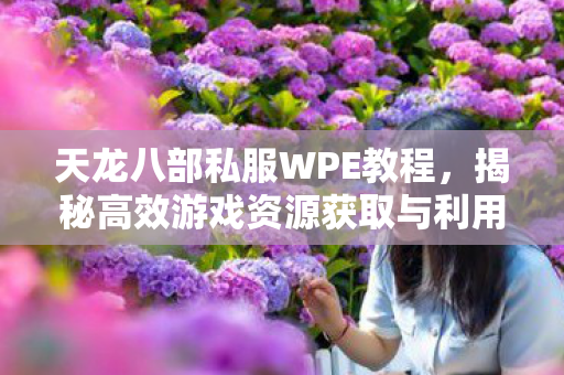 揭秘高效游戏资源获取与利用图片