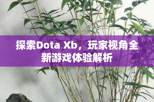 玩家视角全新游戏体验解析图片
