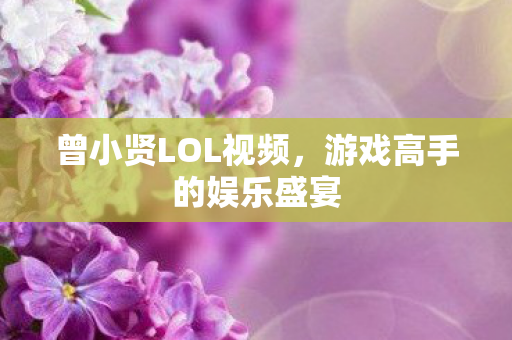 游戏高手的娱乐盛宴图片