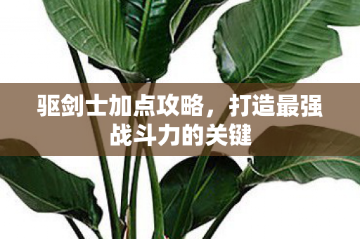 打造最强战斗力的关键图片