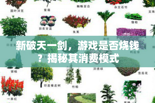 揭秘其消费模式图片