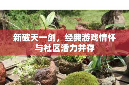 经典游戏情怀与社区活力并存图片