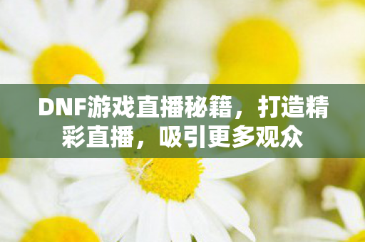 DNF游戏直播秘籍图片