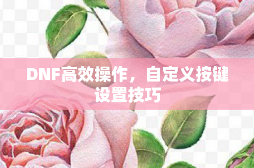 自定义按键设置技巧图片