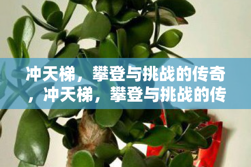 攀登与挑战的传奇之旅图片