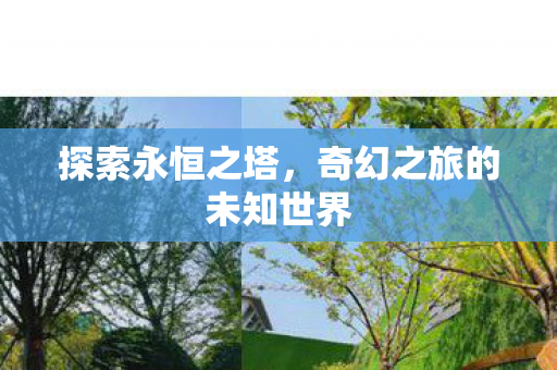 探索永恒之塔，奇幻之旅的未知世界