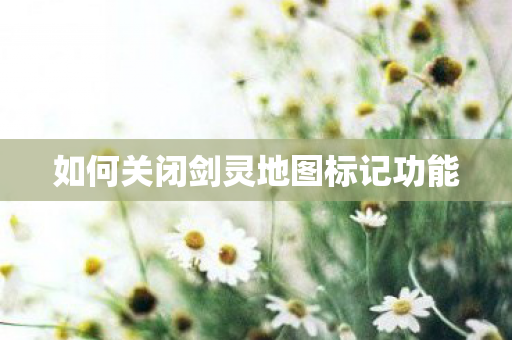 如何关闭剑灵地图标记功能图片