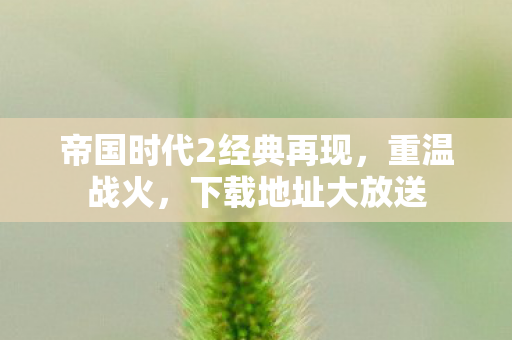 帝国时代2经典再现,重温战火,下载地址大放送 帝国时代2经典再现,重温战火,下载地址大放送