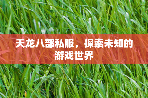 天龙八部私服，探索未知的游戏世界