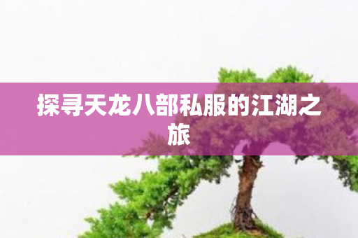 探寻天龙八部私服的江湖之旅图片