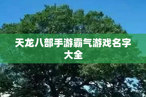 天龙八部手游霸气游戏名字大全图片