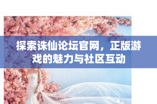 正版游戏的魅力与社区互动图片