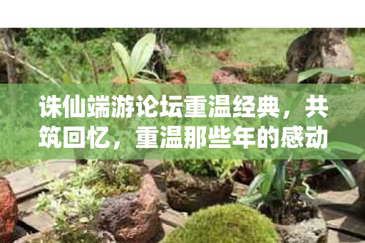 诛仙端游论坛重温经典图片