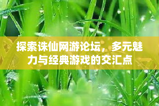 多元魅力与经典游戏的交汇点图片